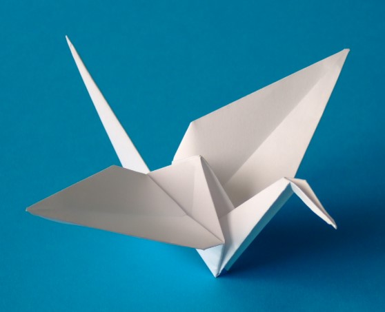 Học origami hạc giấy