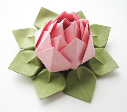 Học origami hoa sen